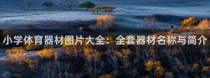 尊龙凯时注册地址