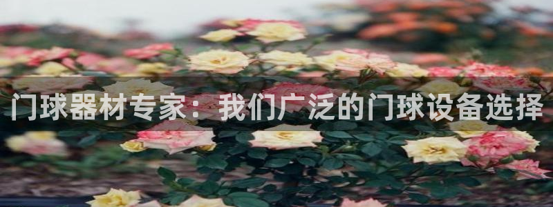 尊龙最新版