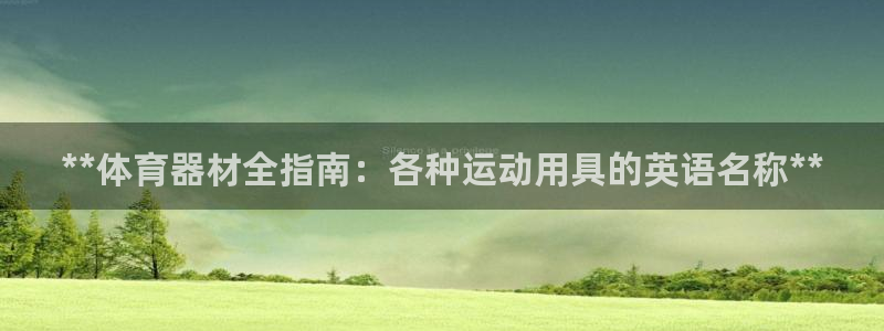 尊龙官网手机版