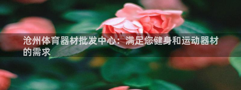 新版尊龙99