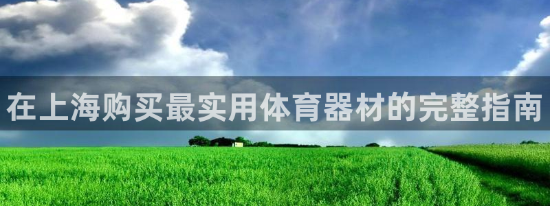 尊龙官网免费下载安装