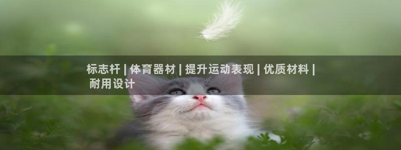 尊龙凯时口碑好吗