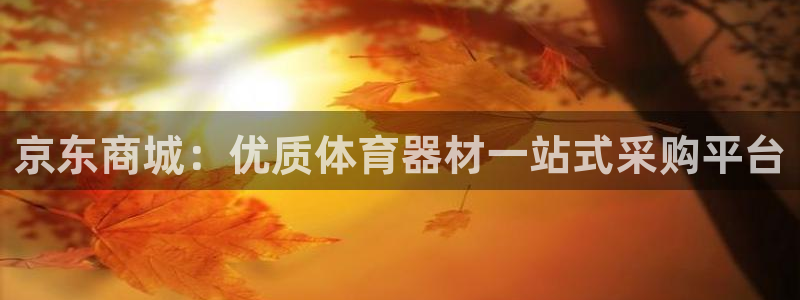 尊龙凯时干什么的