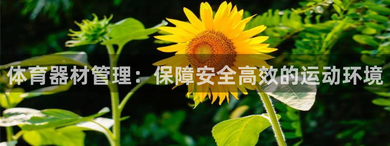 尊龙凯时和九游会哪个平台好一点