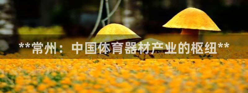 尊龙app怎么样