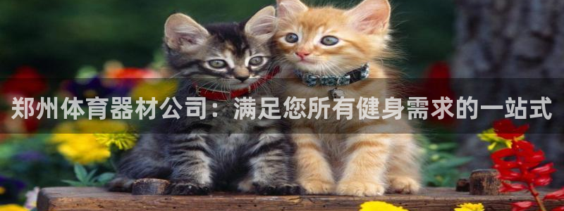 尊龙人生就是博旧版现