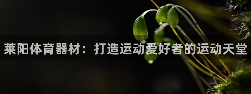 尊龙凯时老板是谁