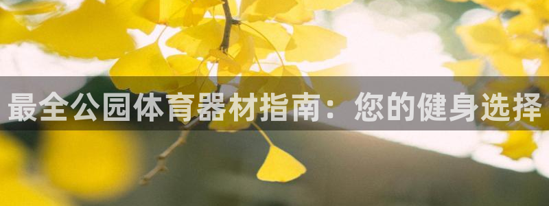 z6尊龙z6