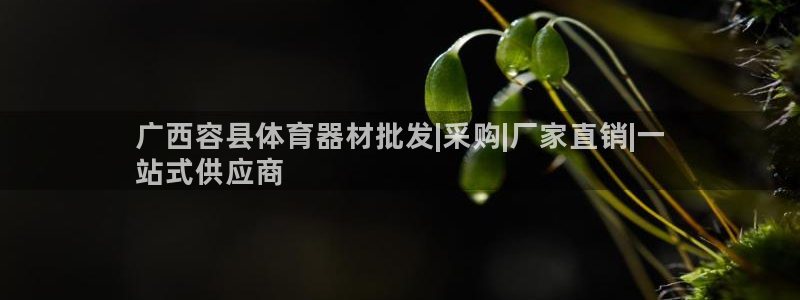 尊龙长相评价