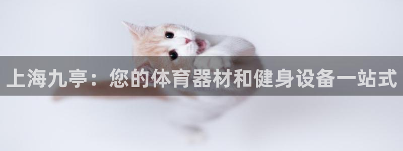 尊龙网址苹果版下载