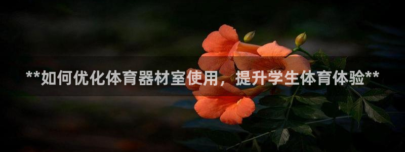 尊龙手机版下载