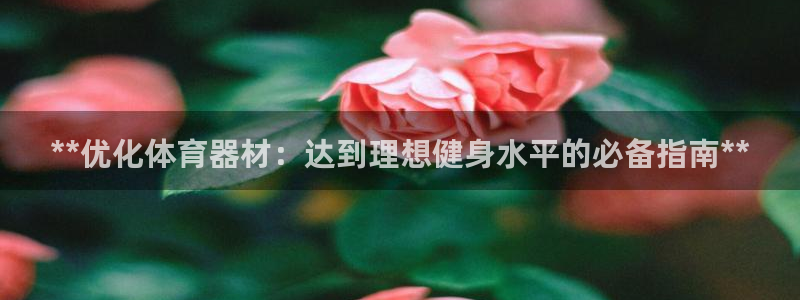 尊龙凯时企业文化