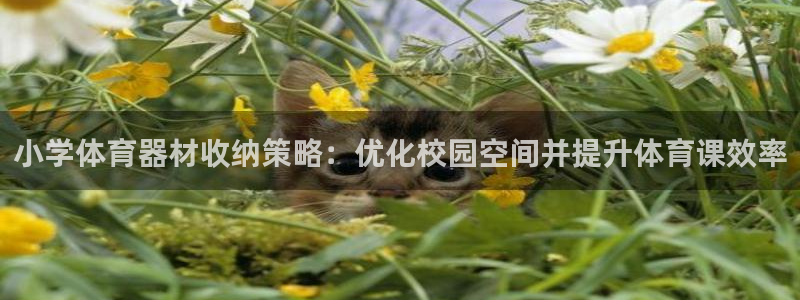 尊龙官网