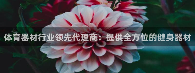 尊龙165