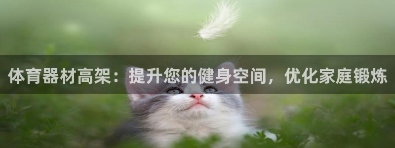 凯时APP官网首页