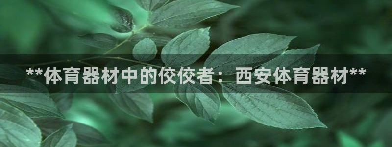 尊龙凯时取款有要求吗
