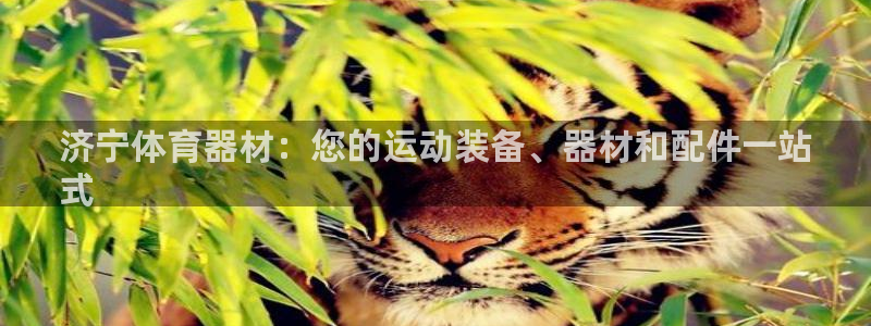 尊龙凯时手机版·(中国)官方网站