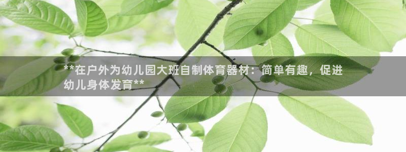 尊龙官网国际