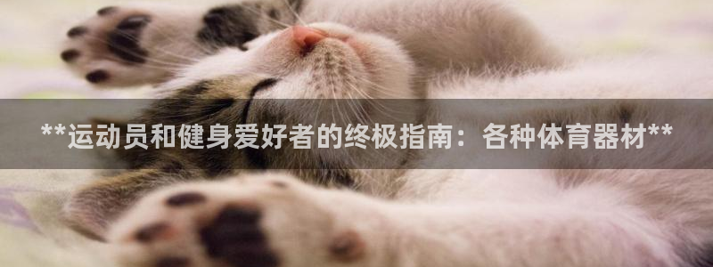尊龙凯时推荐人