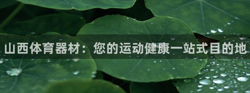 尊龙ag旗舰厅官网官方入口