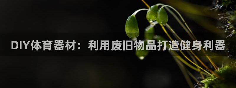 尊龙d88官网新版