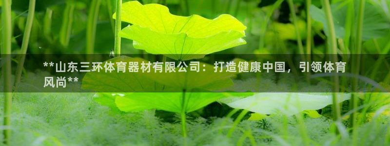 尊龙凯时 人生就是搏!平台
