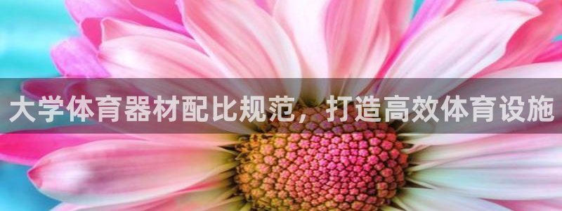 尊龙软件下载