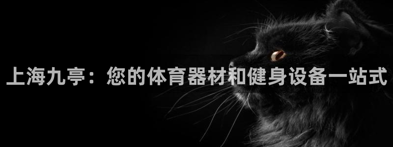 尊龙用现金一下可靠送38元
