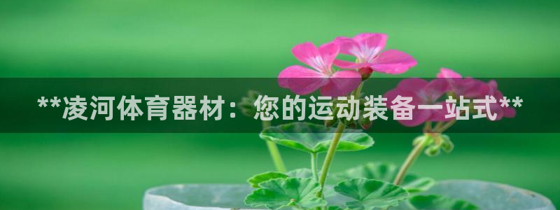 尊龙凯时人生就是搏z6com