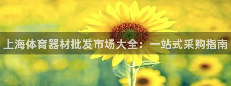 尊龙凯时网