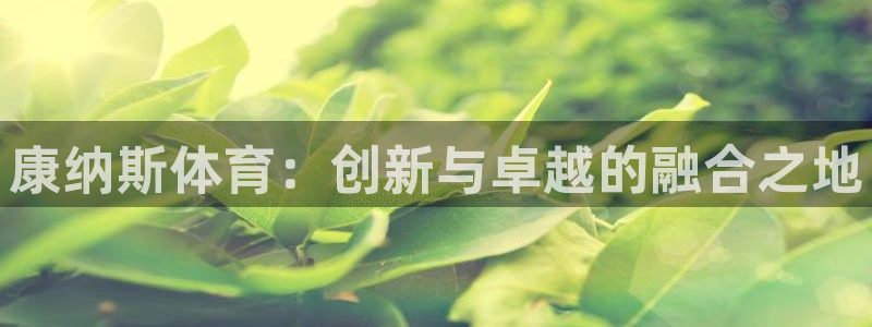 尊龙凯时提款一直审核中