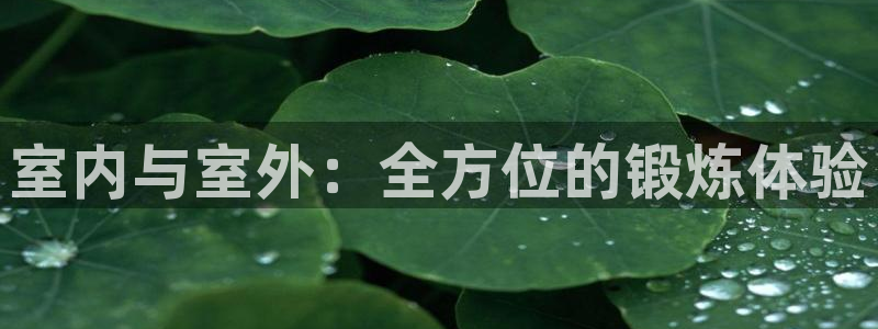 Z6尊龙官网入口