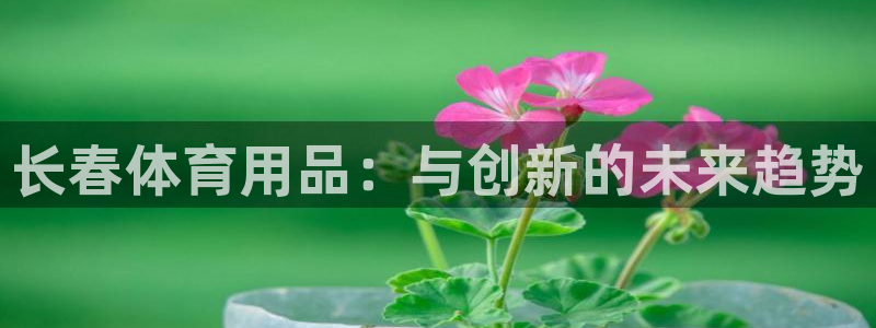 尊龙凯时台子