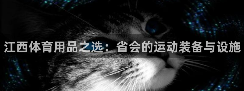 尊龙app下载官网